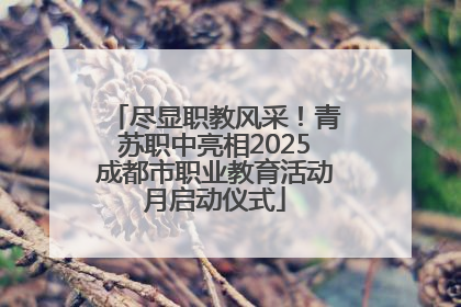 尽显职教风采！青苏职中亮相2025成都市职业教育活动月启动仪式