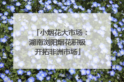 小烟花大市场：湖南浏阳烟花积极开拓非洲市场