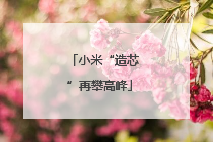小米“造芯”再攀高峰