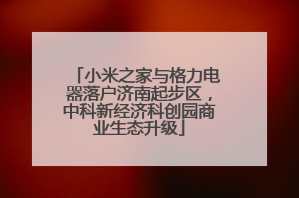 小米之家与格力电器落户济南起步区，中科新经济科创园商业生态升级