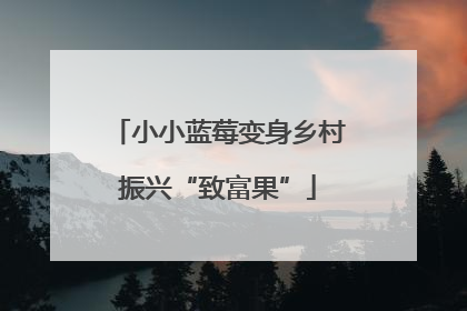 小小蓝莓变身乡村振兴“致富果”