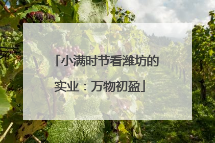小满时节看潍坊的实业：万物初盈
