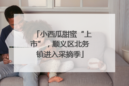 小西瓜甜蜜“上市”，顺义区北务镇进入采摘季