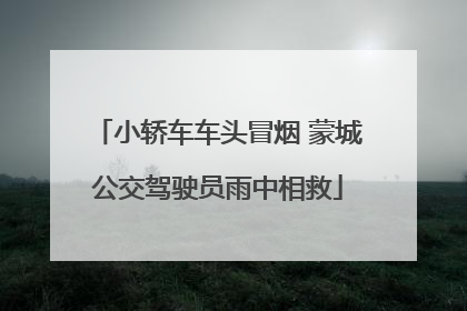 小轿车车头冒烟 蒙城公交驾驶员雨中相救
