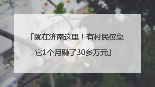 就在济南这里！有村民仅靠它1个月赚了30多万元