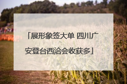 展形象签大单 四川广安登台西洽会收获多