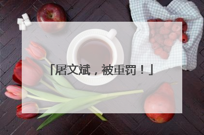 屠文斌，被重罚！