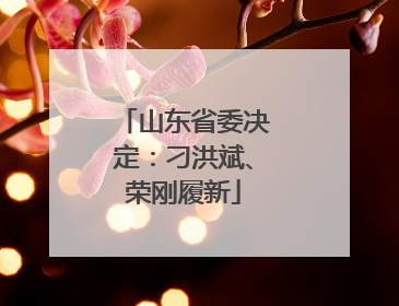 山东省委决定：刁洪斌、荣刚履新
