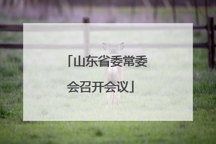 山东省委常委会召开会议