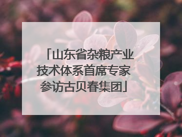 山东省杂粮产业技术体系首席专家参访古贝春集团