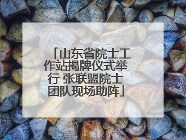 山东省院士工作站揭牌仪式举行 张联盟院士团队现场助阵