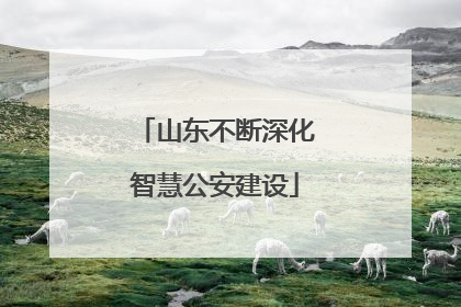 山东不断深化智慧公安建设