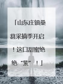 山东庄镇桑葚采摘季开启！这口甜蜜绝绝“紫”！