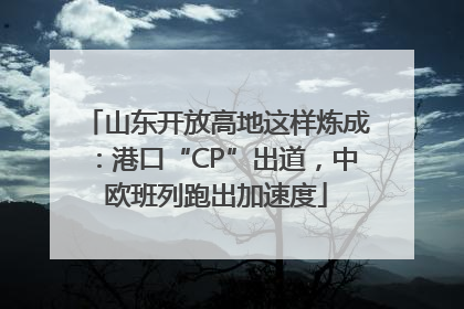 山东开放高地这样炼成：港口“CP”出道，中欧班列跑出加速度