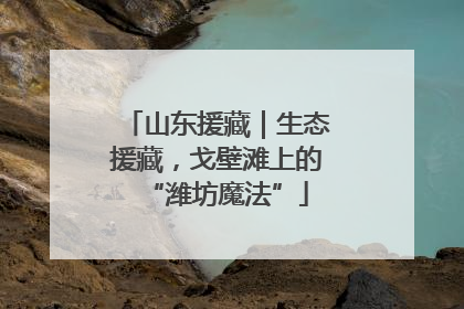 山东援藏｜生态援藏，戈壁滩上的“潍坊魔法”