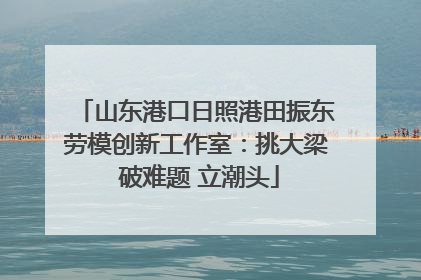 山东港口日照港田振东劳模创新工作室：挑大梁 破难题 立潮头