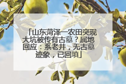 山东菏泽一农田突现大坑被传有古墓？属地回应：系老井，无古墓迹象，已回填