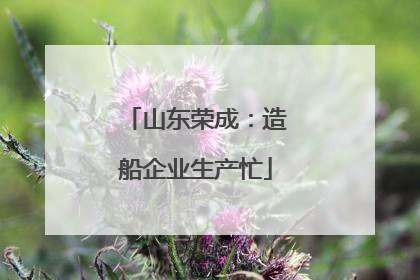 山东荣成：造船企业生产忙