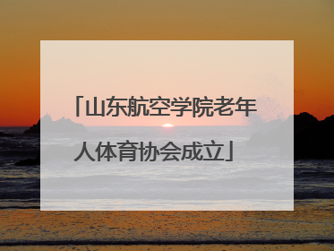 山东航空学院老年人体育协会成立