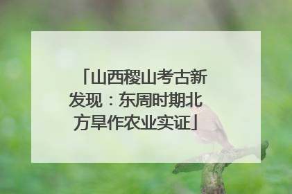 山西稷山考古新发现：东周时期北方旱作农业实证