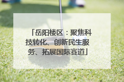 岳阳楼区：聚焦科技转化、创新民生服务、拓展国际赛道