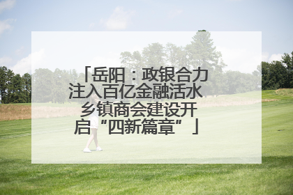 岳阳：政银合力注入百亿金融活水 乡镇商会建设开启“四新篇章”