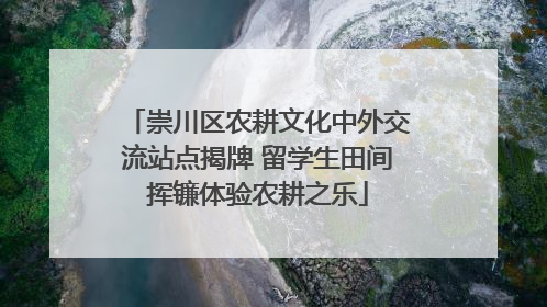 崇川区农耕文化中外交流站点揭牌 留学生田间挥镰体验农耕之乐