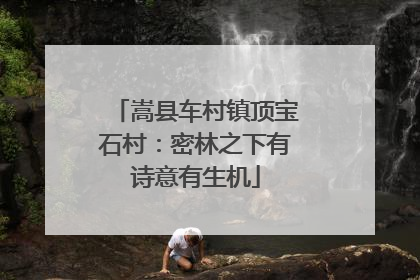 嵩县车村镇顶宝石村：密林之下有诗意有生机