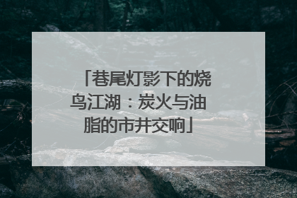 巷尾灯影下的烧鸟江湖：炭火与油脂的市井交响