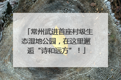 常州武进首座村级生态湿地公园，在这里邂逅“诗和远方”！