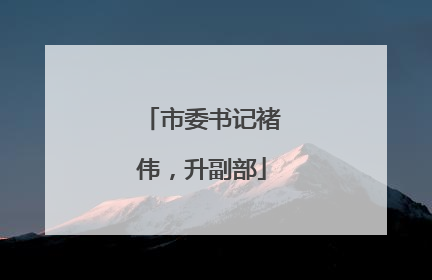 市委书记褚伟，升副部