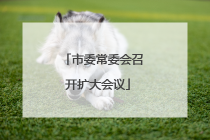 市委常委会召开扩大会议