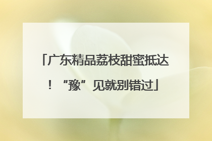 广东精品荔枝甜蜜抵达！“豫”见就别错过