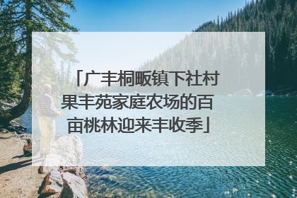 广丰桐畈镇下社村果丰苑家庭农场的百亩桃林迎来丰收季