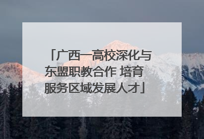 广西一高校深化与东盟职教合作 培育服务区域发展人才