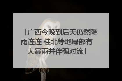 广西今晚到后天仍然降雨连连 桂北等地局部有大暴雨并伴强对流