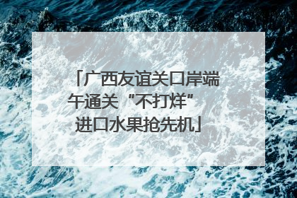广西友谊关口岸端午通关“不打烊” 进口水果抢先机