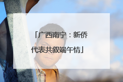 广西南宁：新侨代表共叙端午情