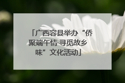 广西容县举办“侨聚端午情·寻觅故乡味”文化活动