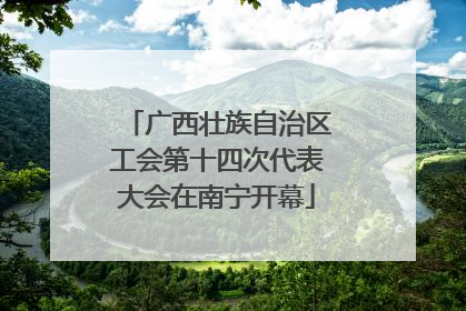 广西壮族自治区工会第十四次代表大会在南宁开幕