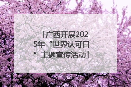 广西开展2025年“世界认可日”主题宣传活动