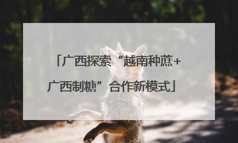 广西探索“越南种蔗+广西制糖”合作新模式