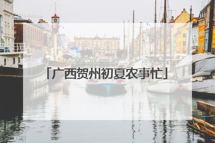 广西贺州初夏农事忙