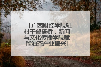 广西财经学院驻村干部搭桥，新闻与文化传播学院赋能油茶产业振兴