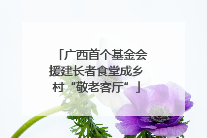 广西首个基金会援建长者食堂成乡村“敬老客厅”