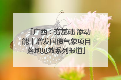 广西：夯基础 添动能｜增发国债气象项目落地见效系列报道