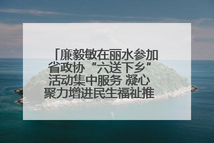 廉毅敏在丽水参加省政协“六送下乡”活动集中服务 凝心聚力增进民生福祉推进共同富裕