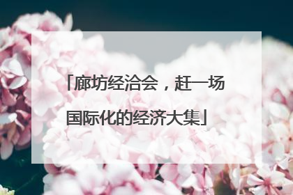 廊坊经洽会，赶一场国际化的经济大集