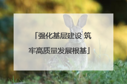 强化基层建设 筑牢高质量发展根基