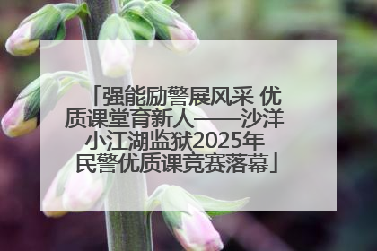 强能励警展风采 优质课堂育新人——沙洋小江湖监狱2025年民警优质课竞赛落幕